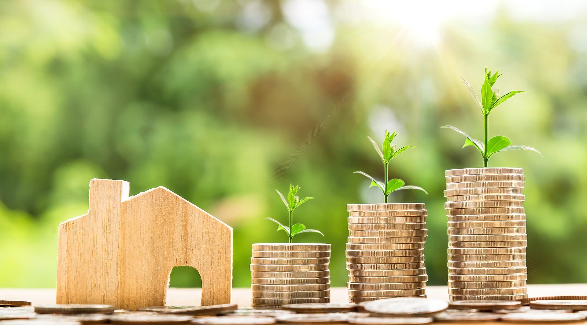 What Are Property Taxes?